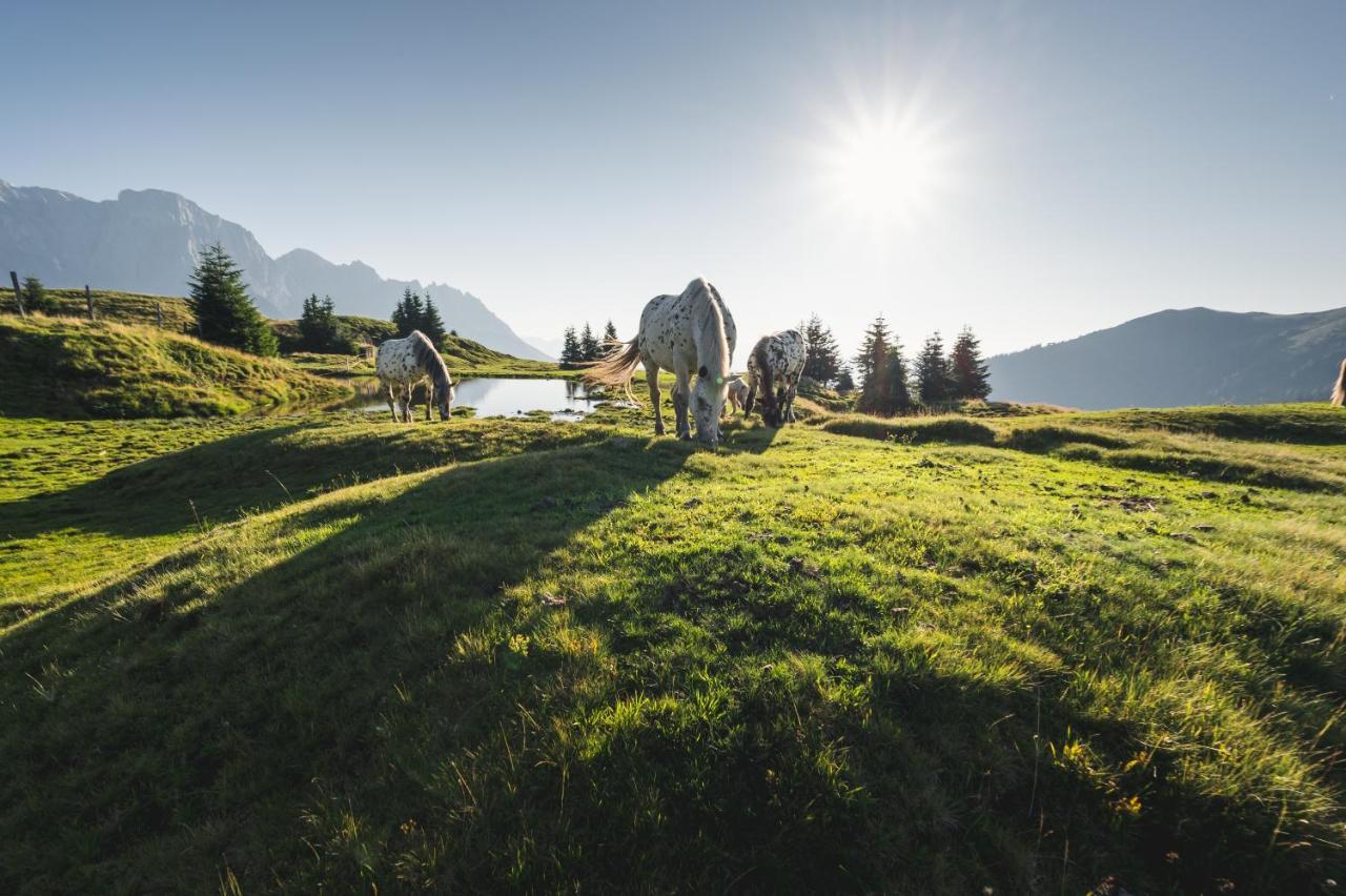 Alpenparks Hotel & Apartment Hochkoenig Mühlbach am Hochkönig Esterno foto